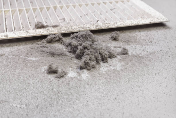 Best Best Air Duct Cleaning Company  in Dayton, TX