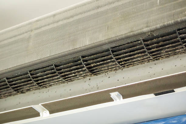Best Commercial Air Duct Cleaning  in Dayton, TX