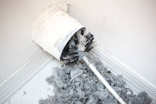 Best Professional Duct Cleaning Services  in Dayton, TX